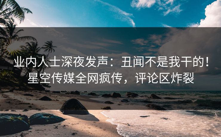 业内人士深夜发声：丑闻不是我干的！星空传媒全网疯传，评论区炸裂