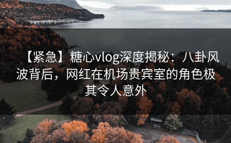 【紧急】糖心vlog深度揭秘：八卦风波背后，网红在机场贵宾室的角色极其令人意外